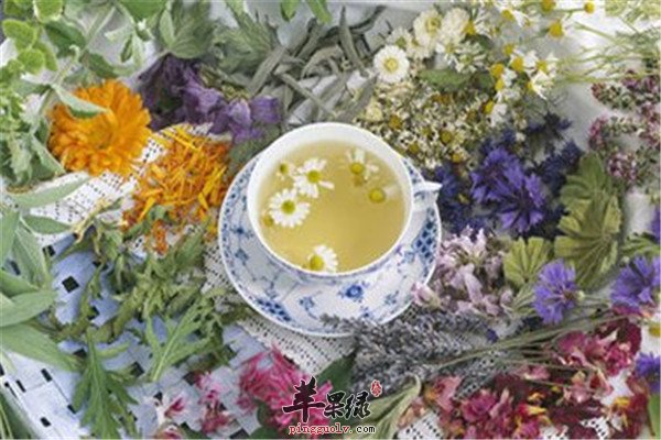 如何消除口臭 試試這些茶品