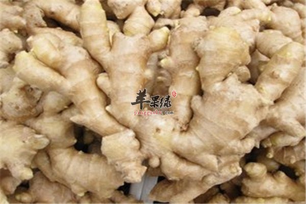 三種健康的食材 殺蟲又抗菌