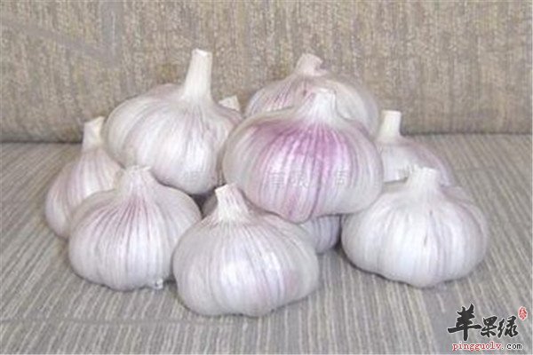 三種健康的食材 殺蟲又抗菌