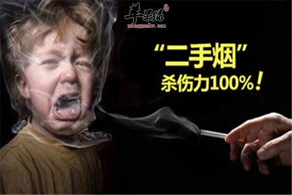 二手煙的危害 肺癌心血管疾病