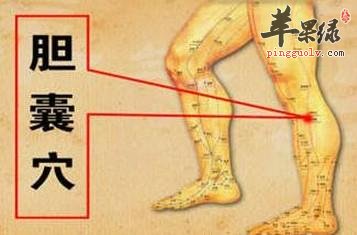 膽囊穴的具體位置 推薦按摩的好方法