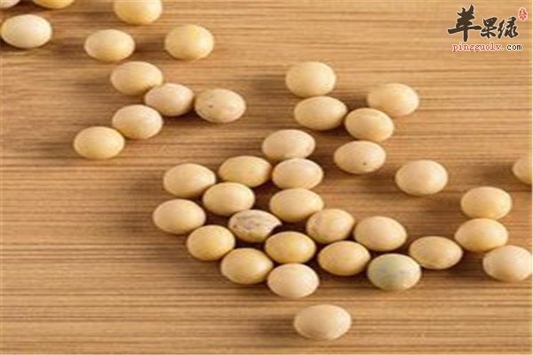 氣血不順 具有除痹功效的食材
