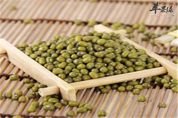 體內濕氣大要排毒 泄水逐飲的食材