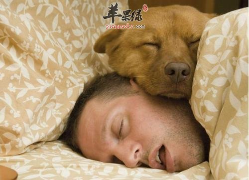 生活中睡眠調理的方法有哪些