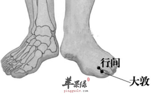 行間穴的位置 教你找到行間穴的方法