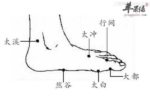 行間穴的位置 教你找到行間穴的方法