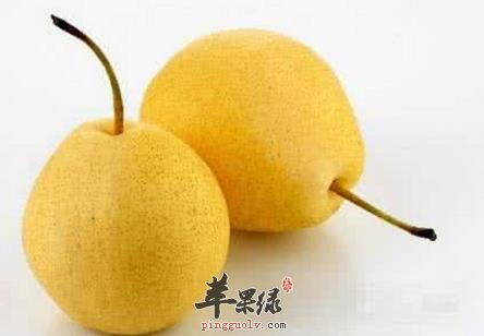 常見的化痰的水果有哪些