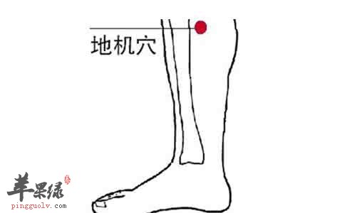 地機穴的具體位置 幫你按摩地機穴