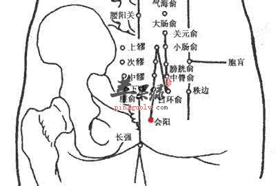 會陽穴的位置 教你會陽穴按摩法