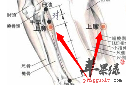 上廉穴位的治病功用講解