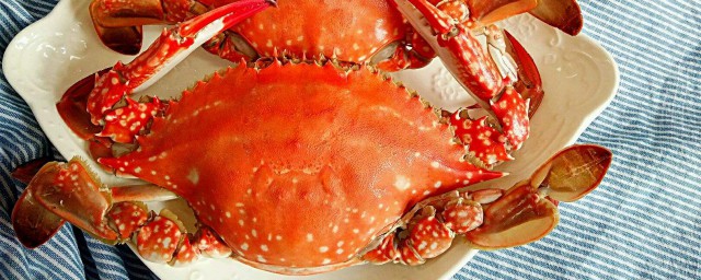梭子蟹幾月份最好吃 什麼時候最肥