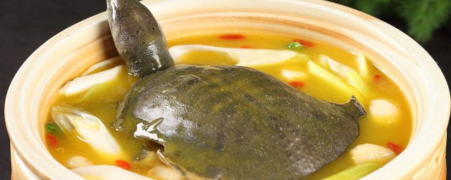 烏龜湯的做法大全煲湯 味道很鮮美
