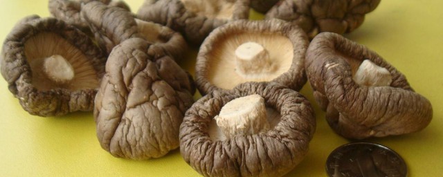 幹蘑菇的做法大全 幹炸蘑菇好吃又營養
