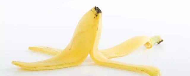 香蕉皮適合什麼花 香蕉皮與花的完美結合