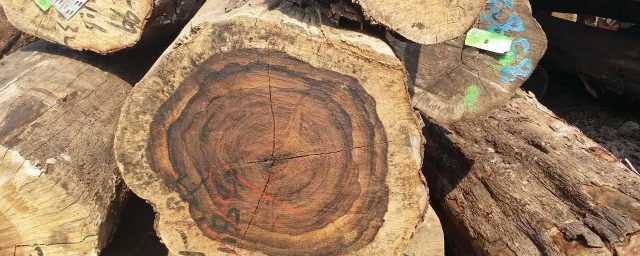 酸枝木有哪幾種 據說這種木材有三色