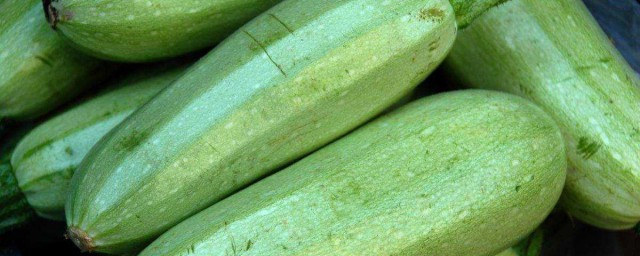 胡瓜怎麼做好吃 又營養又美味