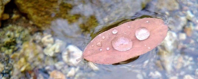 白露是幾月幾號 二十四節氣小知識