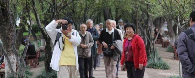 65歲每天走多少合適 中老年人步行鍛煉