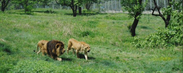 秦嶺動物園介紹 休閑旅遊好去處