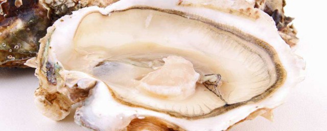 牡蠣殼中藥作用有哪 中藥牡蠣殼有哪些功效