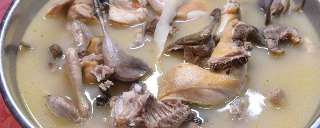 鱷魚龜做法 煲湯最為滋補