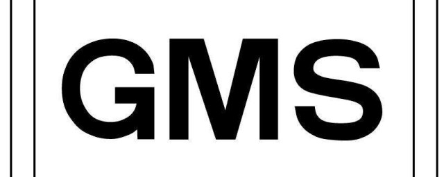 gms服務是什麼 有什麼意義