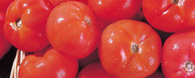 在傢怎樣醃西紅柿過冬 好吃的讓人懷念