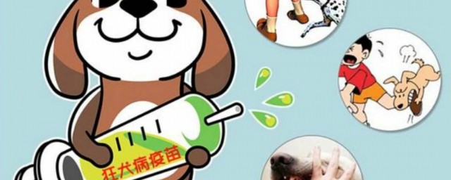 被小孩咬瞭需要打狂犬疫苗嗎 被狗咬瞭怎麼辦