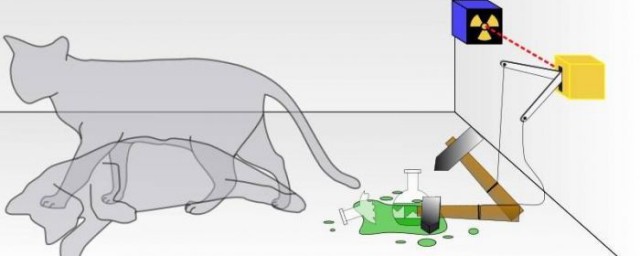薛定諤的貓原理是什麼 薛定諤的貓是什麼意思