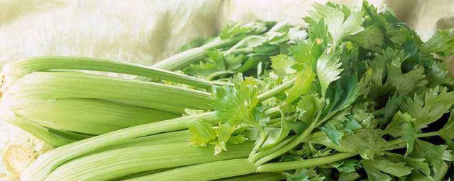 芹菜蒸菜怎麼做 傢庭健康美食做法