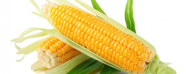 長期吃玉米有什麼危害 大傢可以瞭解一下