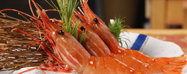 養金剛蝦方法 其金剛蝦的特點是什麼