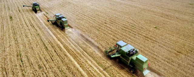 小麥播幅寬的好處 播幅寬對產量是否有影響