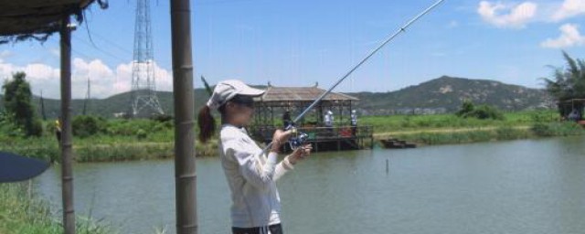 珠珠釣法教程 你喜歡釣魚嗎