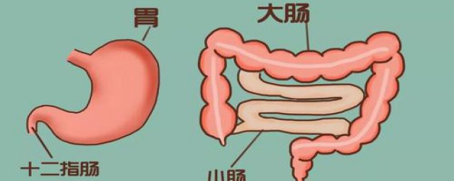 胃鈣灶化是什麼意思 不會是什麼大病吧