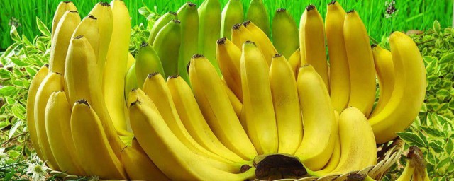 哪些病不能吃香蕉 五種病人不適合吃