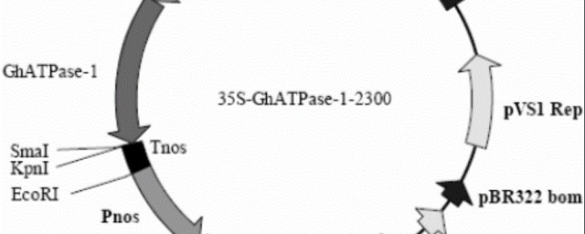 維持體溫需要atp水解供能嗎 水解過程