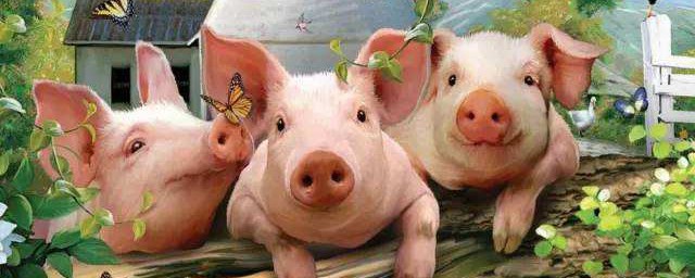 養豬國傢有什麼幫扶政策 養豬有補助嗎