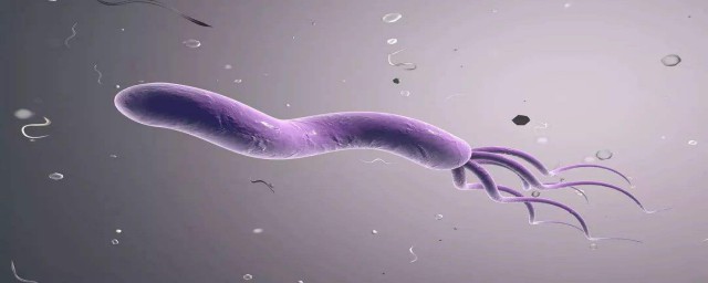 幽門螺桿菌是什麼病毒 怎麼治療幽門螺桿菌