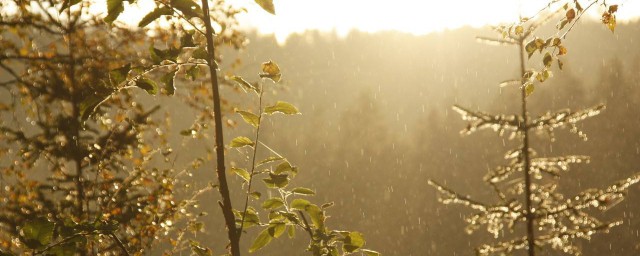 做夢見下雨過出太陽好嗎 兇大於吉要多嚴謹