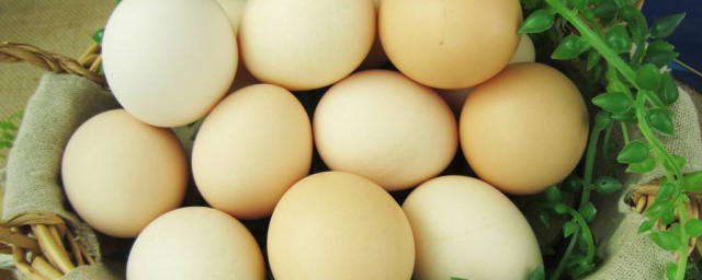 膽囊切除多久能吃雞蛋 要註意什麼？