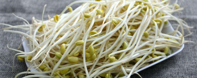 怎樣泡綠豆芽 好方法是什麼？