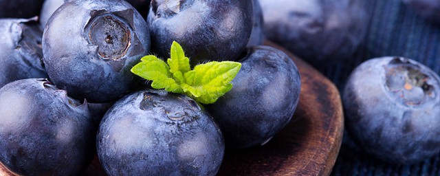 凍藍莓怎樣泡酒一斤藍莓泡幾斤酒 分享六步法教你釀制藍莓酒