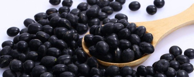 黑豆有幾個品種 2種品種