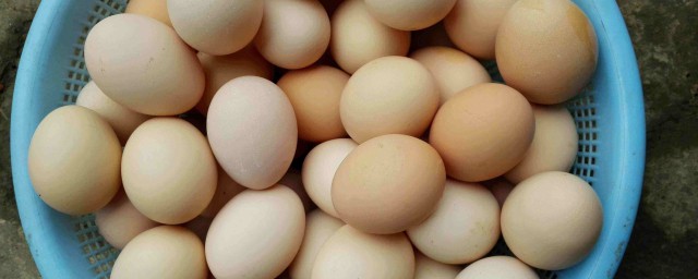 公雞蛋怎麼做好吃 這樣做最好吃