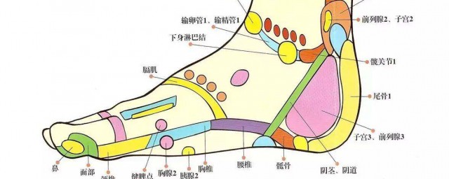 子宮反射區位置 女人註意瞭！！