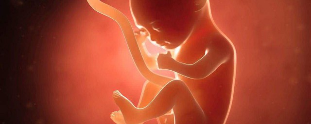 胎兒發育不好什麼時候能檢查出來 媽媽需知