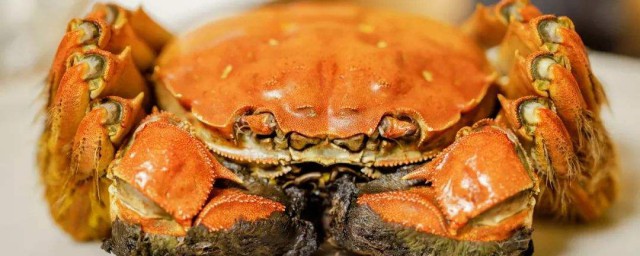 陽澄湖大閘蟹怎麼保存 有三種保存方法