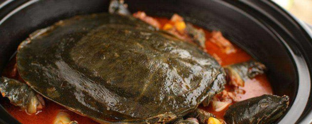 黃甲魚的做法燉湯 營養又美味的哦