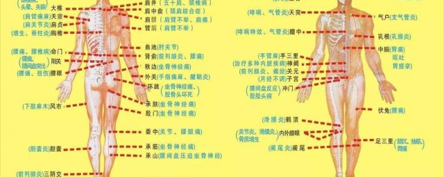 氣血不足灸什麼穴位 你知道嗎